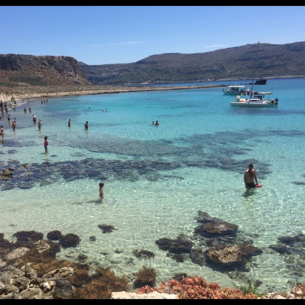 Meet your Posher, Irena